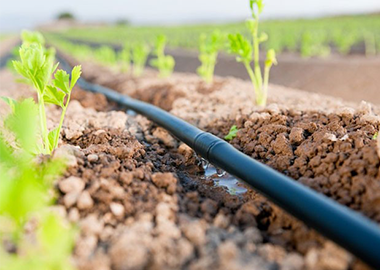 Solutions for irrigation tubes & tapes